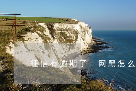 征信有逾期了 网黑怎么贷款 征信有逾期了 网黑怎么贷款